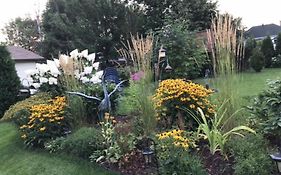 Oasis De La Riviere